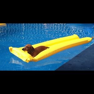 Meet your Posher, Cherie